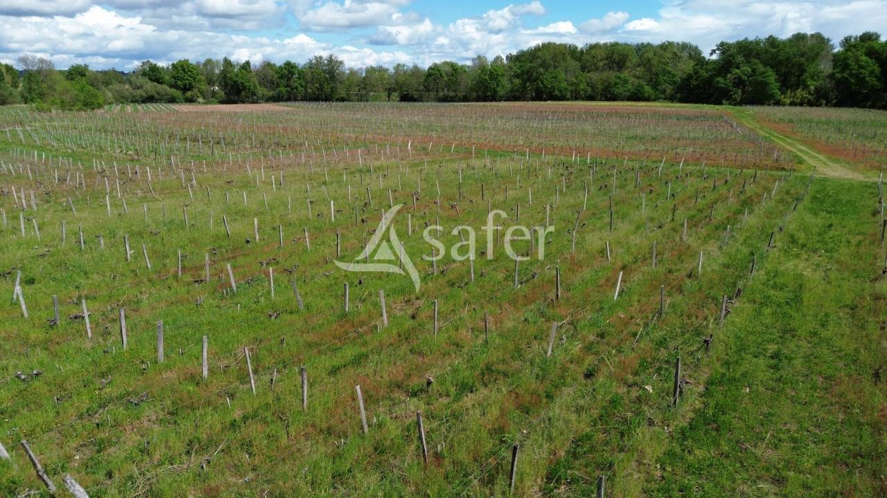 Ander plattelands vastgoed Koop Gironde