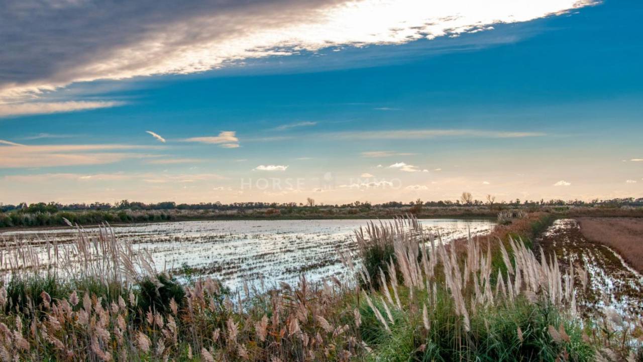 Mooi hippisch vastgoed Koop Bouches-du-Rh&ocirc;ne