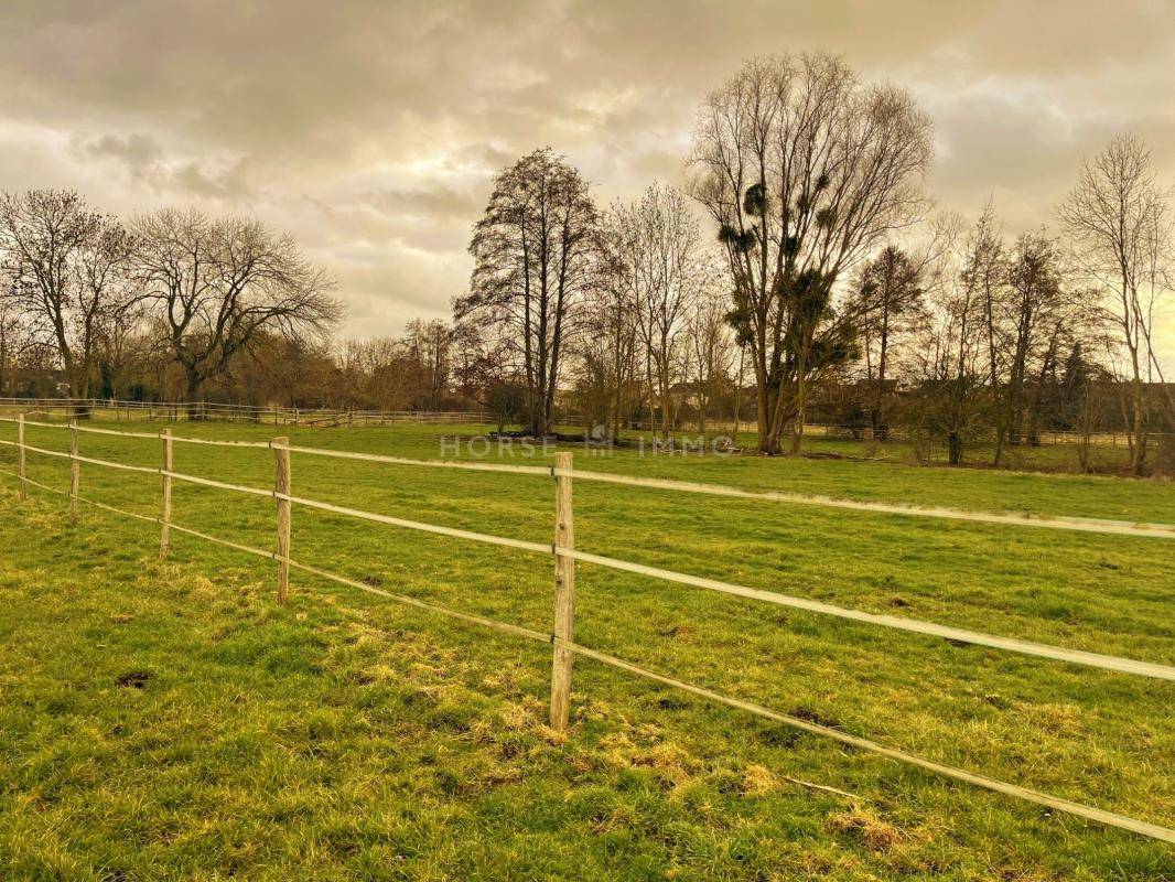 Hippisch vastgoed Koop Yvelines