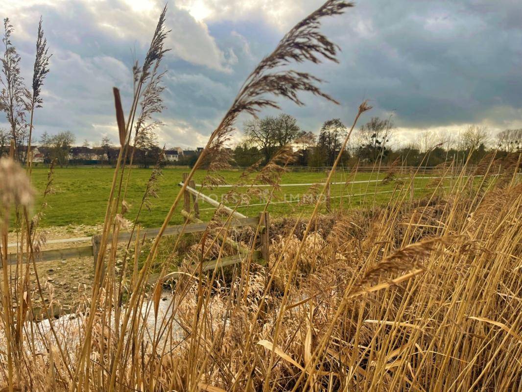 Hippisch vastgoed Koop Yvelines