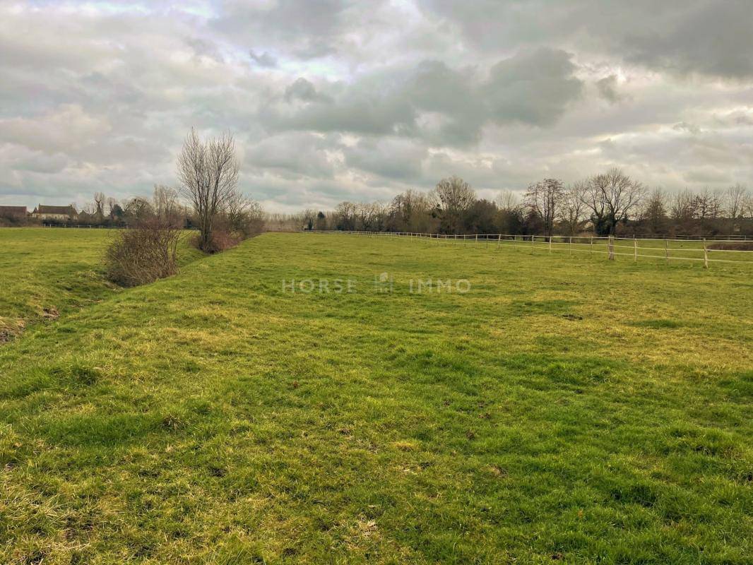 Hippisch vastgoed Koop Yvelines