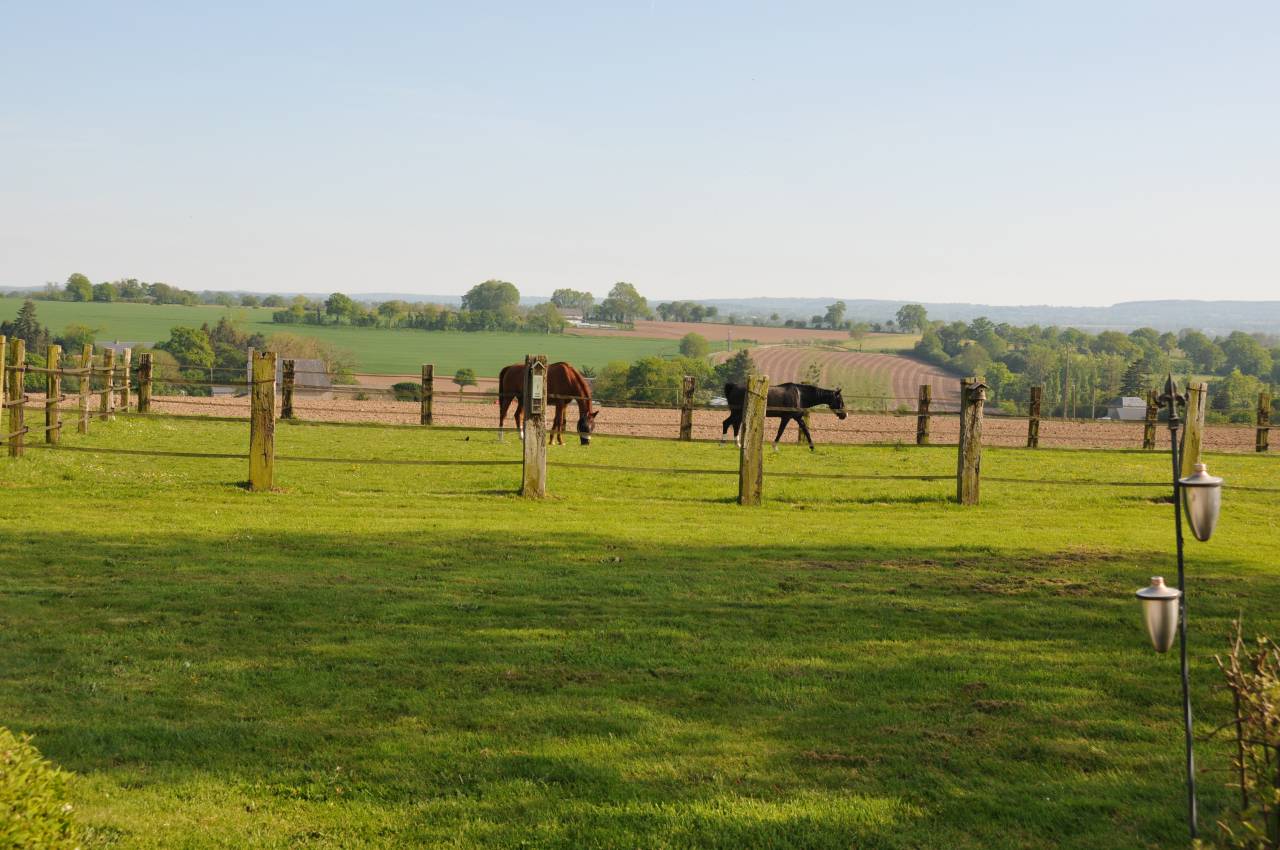 Mooi hippisch vastgoed Koop Calvados