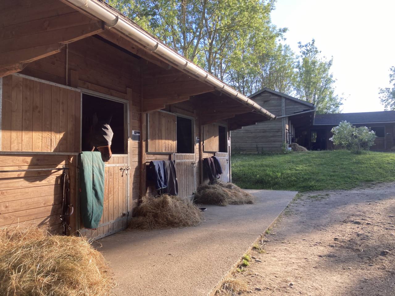 Eigenaren stal Koop Val-d'Oise