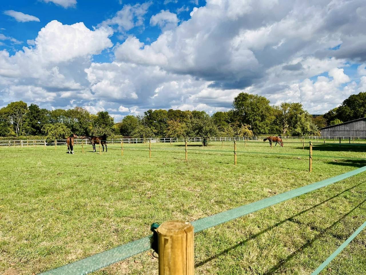 Eigenaren stal Koop Val-d'Oise