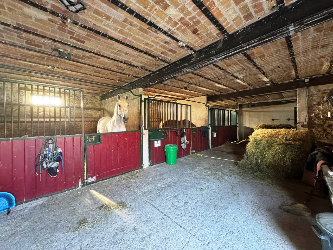 Eigenaren stal Koop Seine-et-Marne
