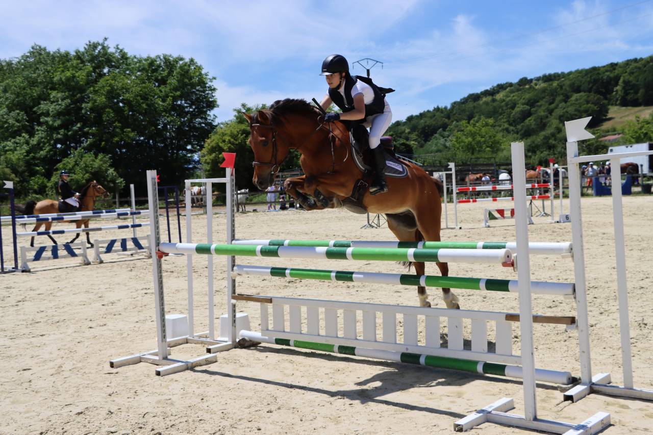Ruin Franse rijpony PFS Te koop 2018 Donker bruin / bai ,  Lennicha de Florys