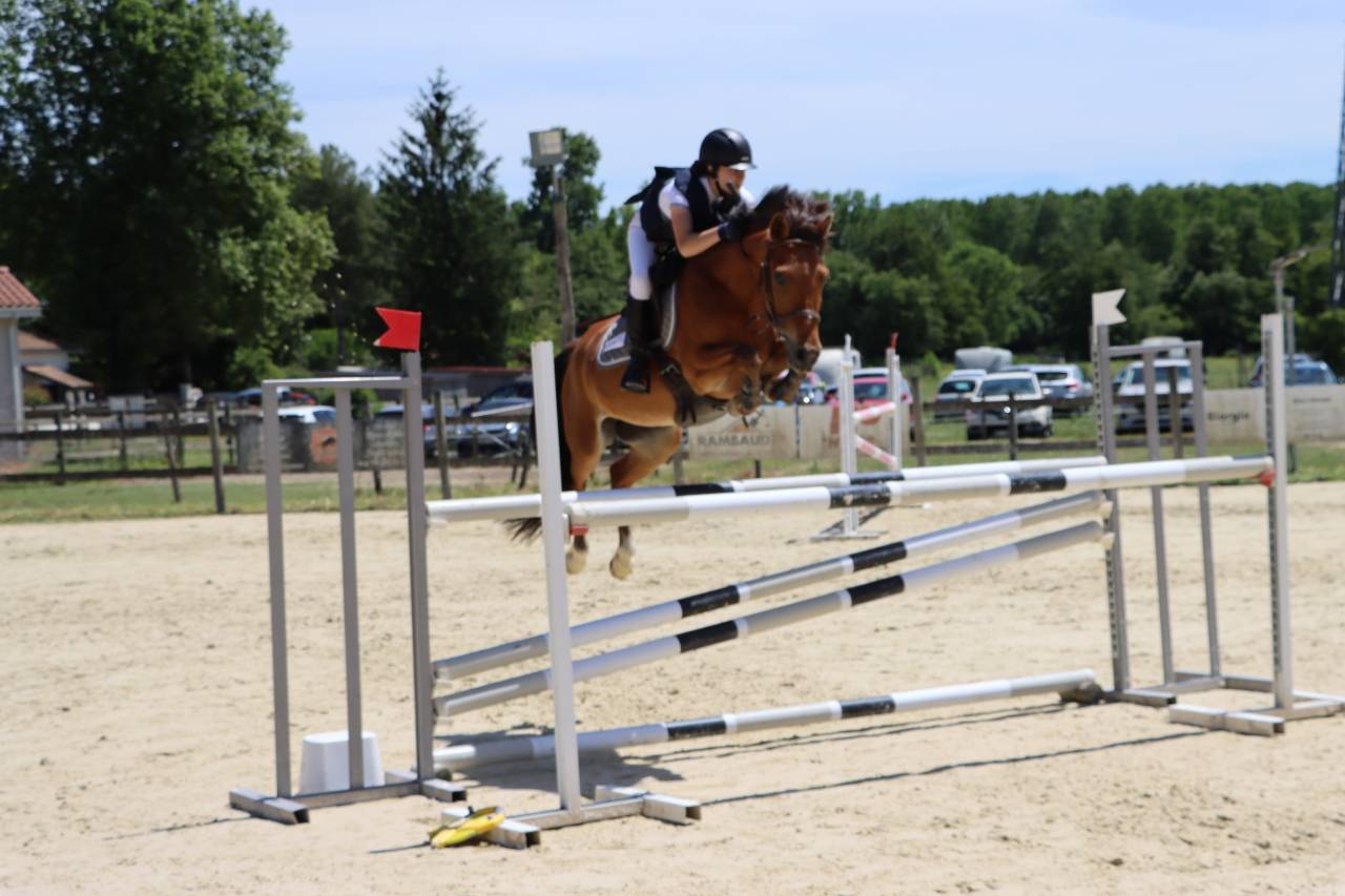 Ruin Franse rijpony PFS Te koop 2018 Donker bruin / bai ,  Lennicha de Florys