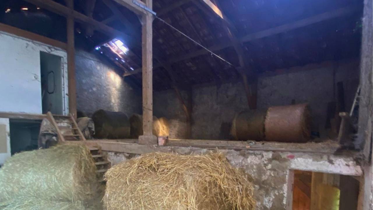 Hippisch vastgoed Koop Lot-et-Garonne