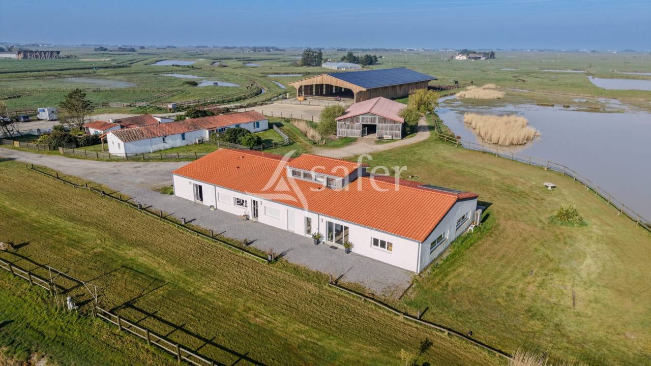 Hippisch vastgoed Koop Vend&eacute;e