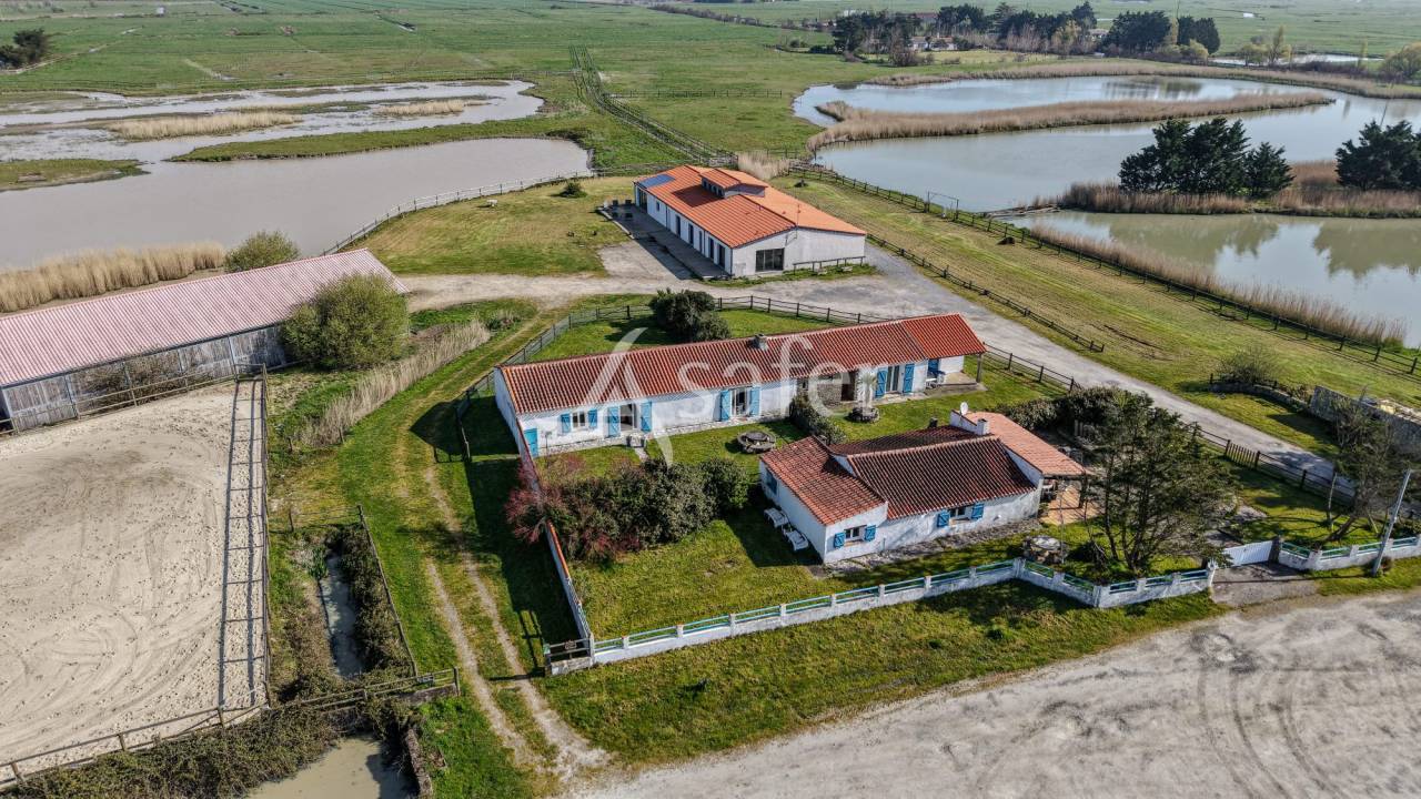 Hippisch vastgoed Koop Vend&eacute;e