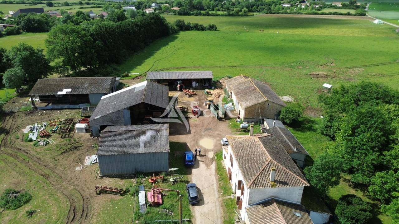 Schapen exploitatie Koop Deux-S&egrave;vres