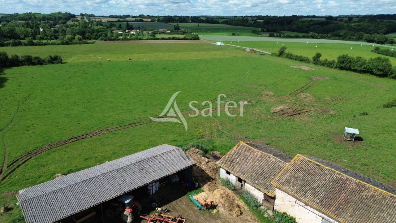 Schapen exploitatie Koop Deux-S&egrave;vres