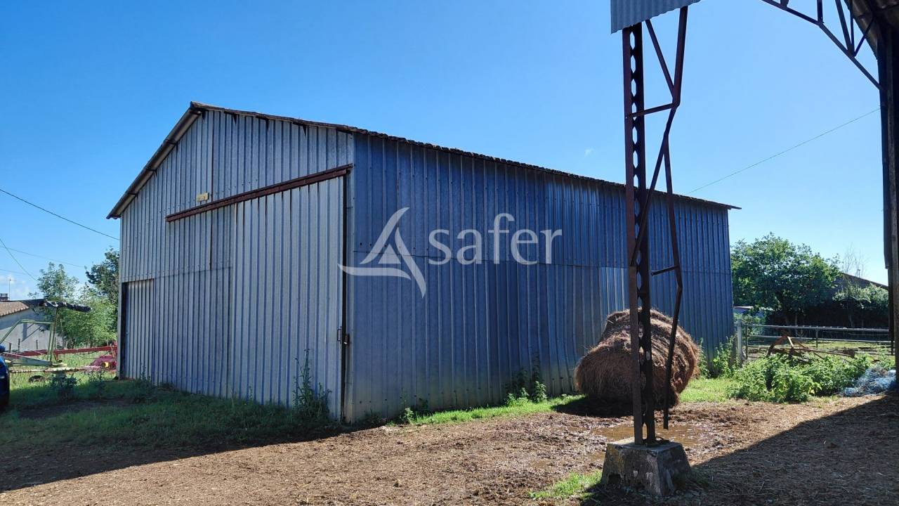 Schapen exploitatie Koop Deux-S&egrave;vres