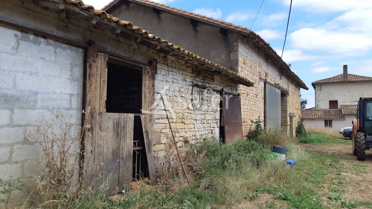 Schapen exploitatie Koop Deux-S&egrave;vres