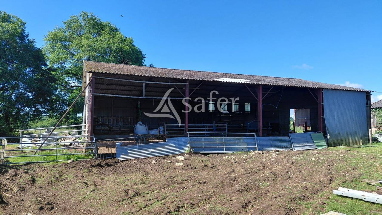 Schapen exploitatie Koop Deux-S&egrave;vres