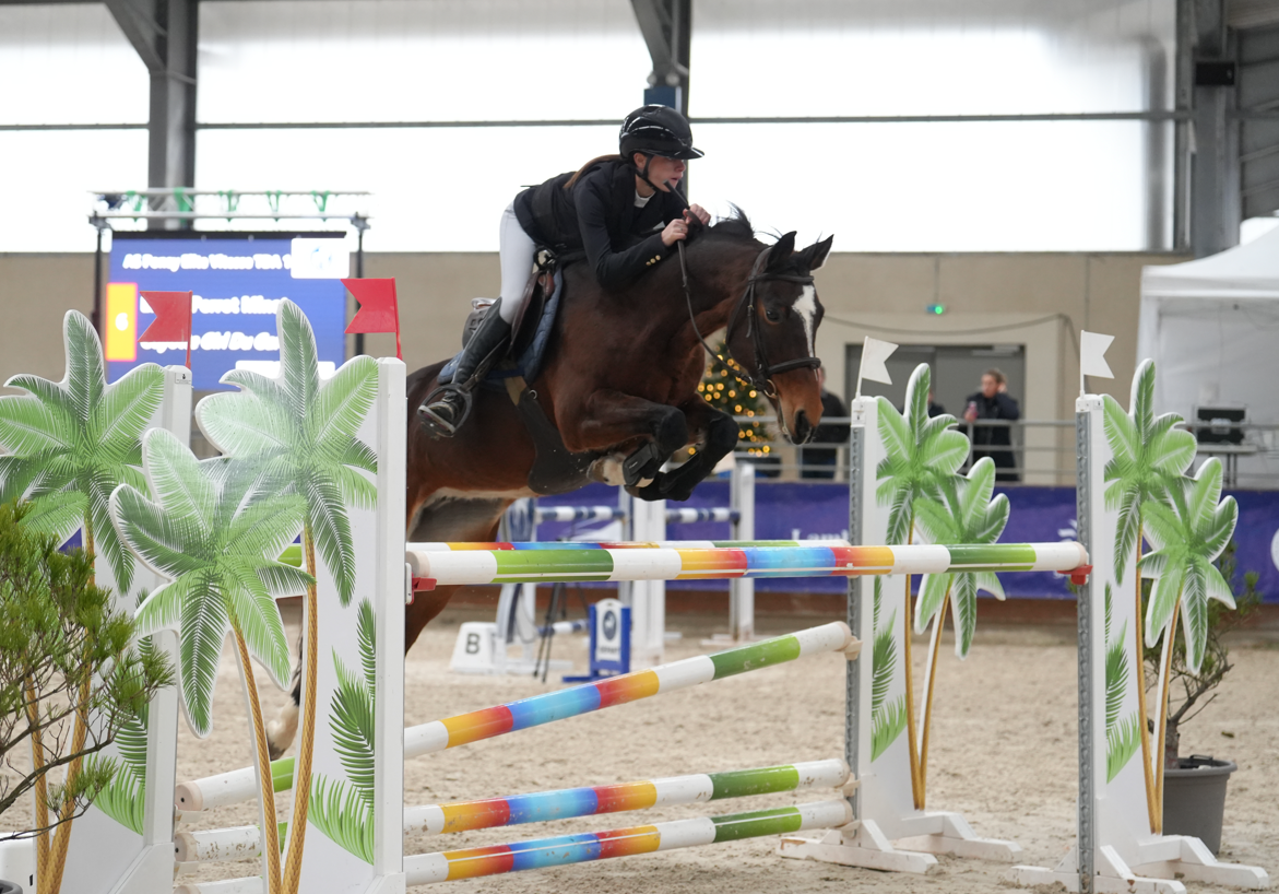 Merrie Franse rijpony PFS Te koop 2012 Donker bruin / bai