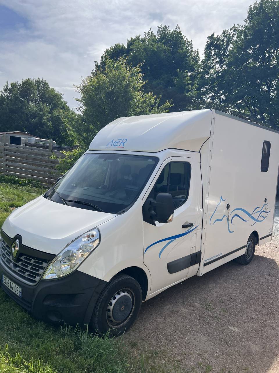 Kleine paardenvrachtwagen (B rijbewijs) Renault Master 2018 Tweedehands