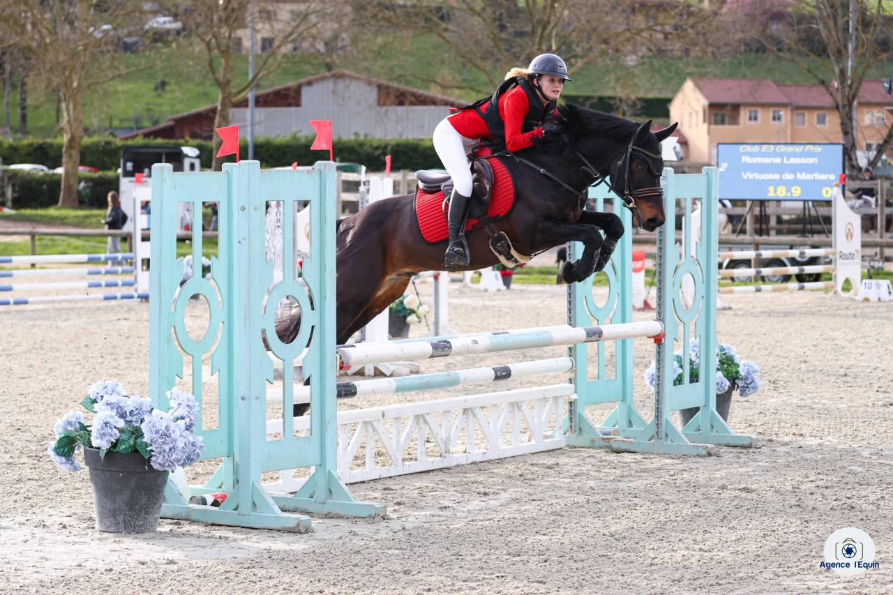 Hengst Franse rijpony PFS Te koop 2021 Isabel