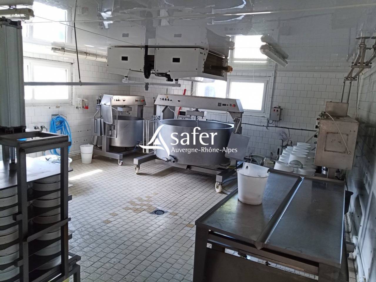 Melk exploitatie Koop Cantal