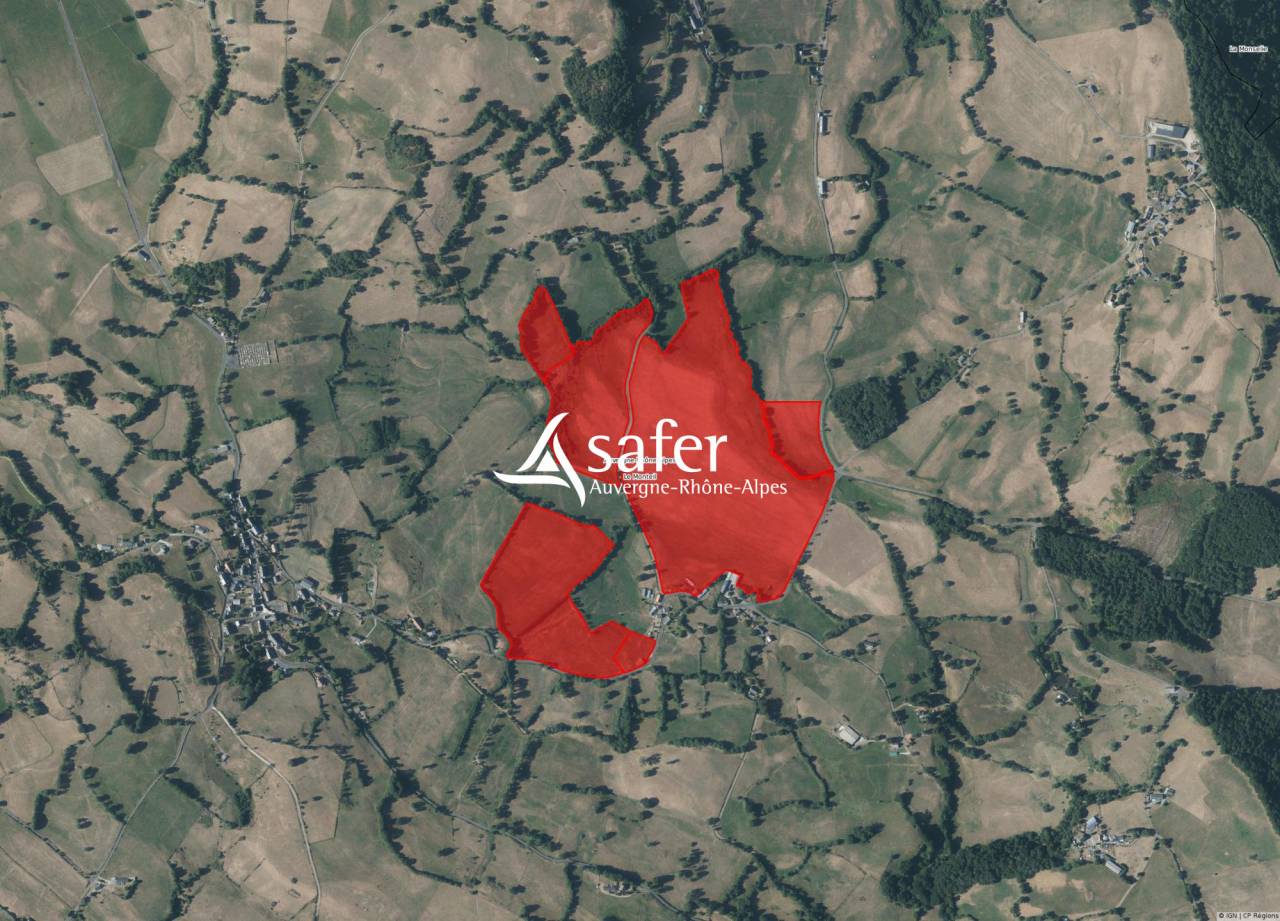 Melk exploitatie Koop Cantal