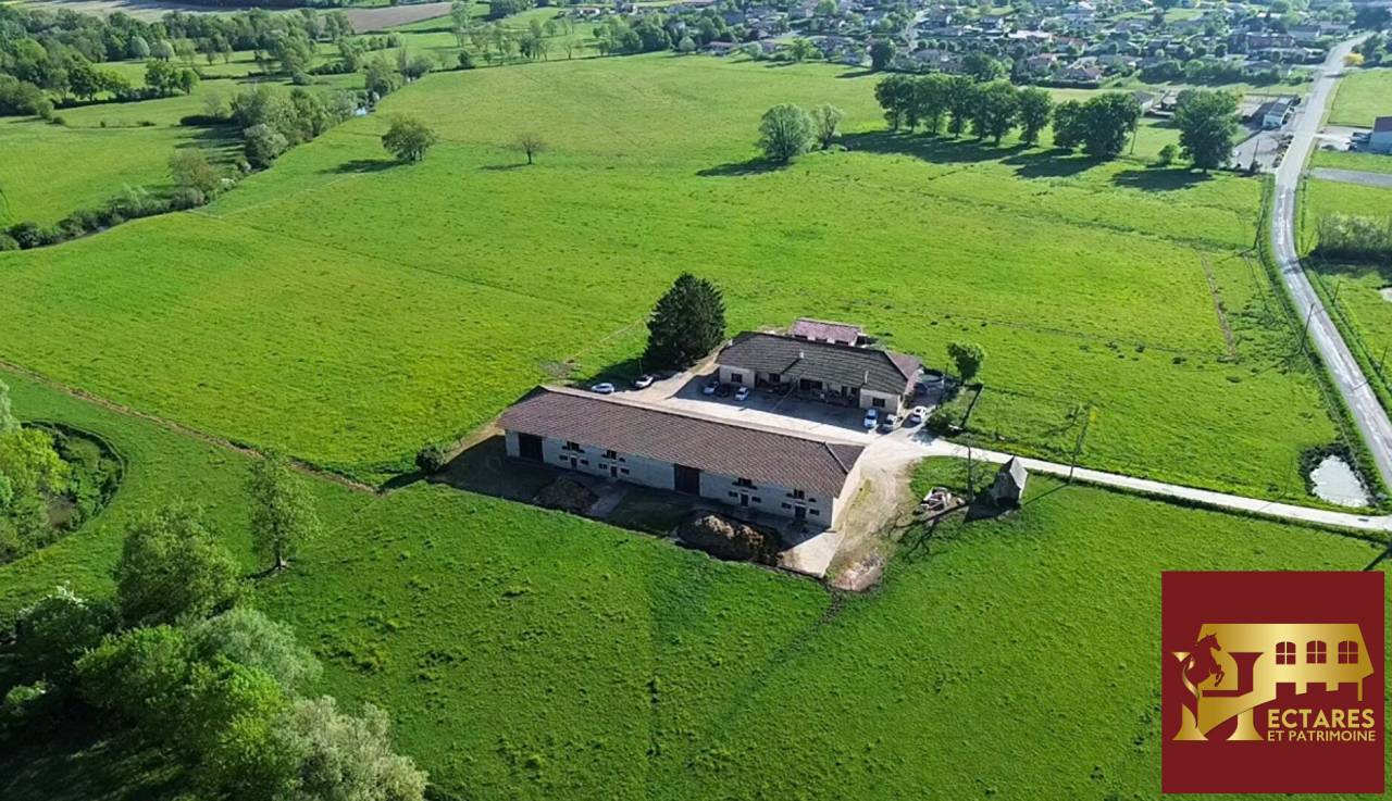 Paarden accommodatie Koop Ain