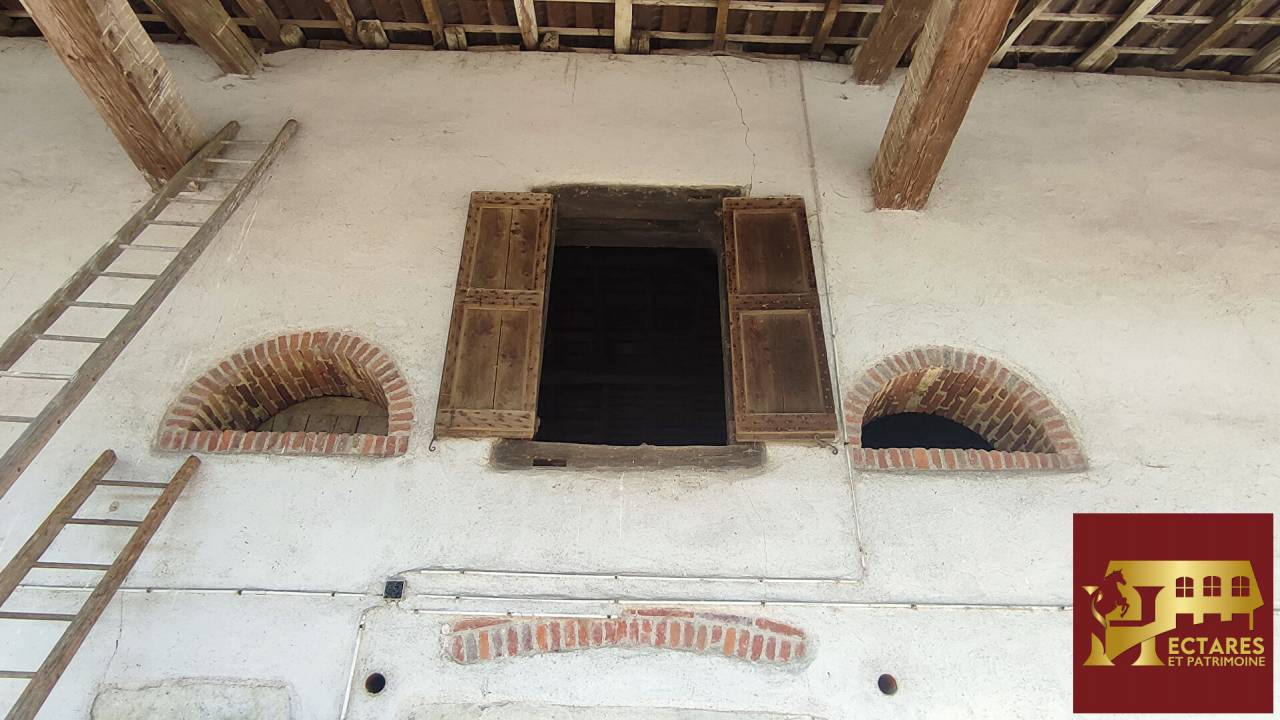 Paarden accommodatie Koop Ain