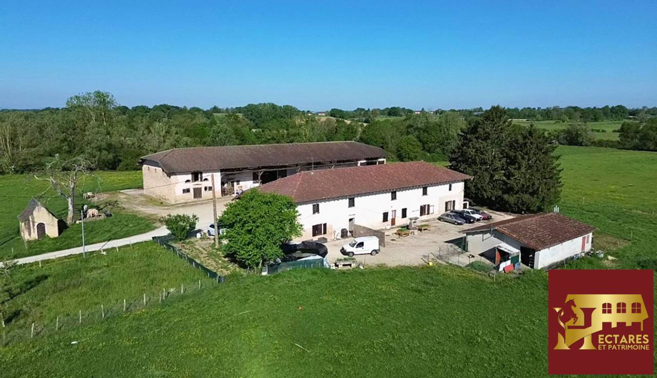 Paarden accommodatie Koop Ain