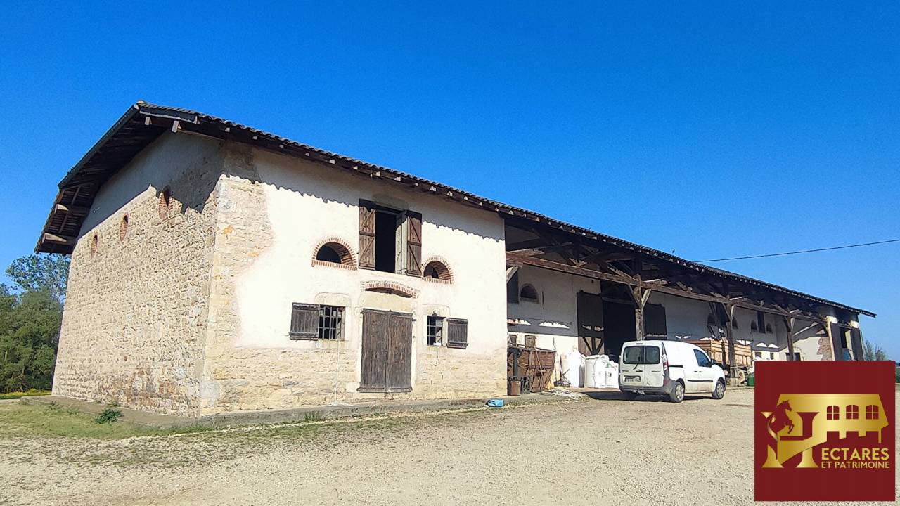 Paarden accommodatie Koop Ain