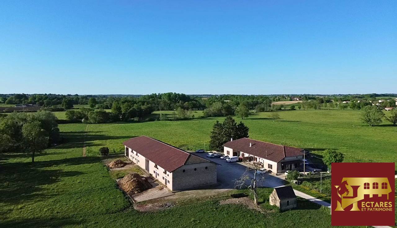 Paarden accommodatie Koop Ain