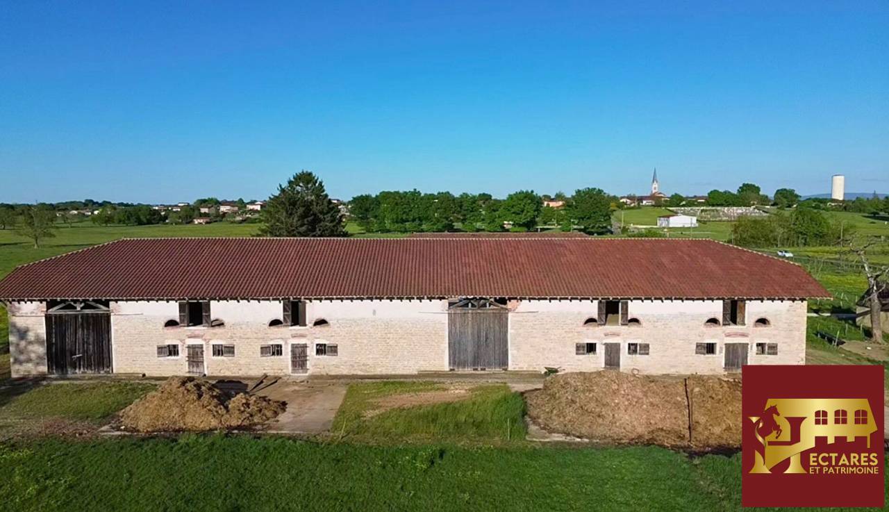 Paarden accommodatie Koop Ain
