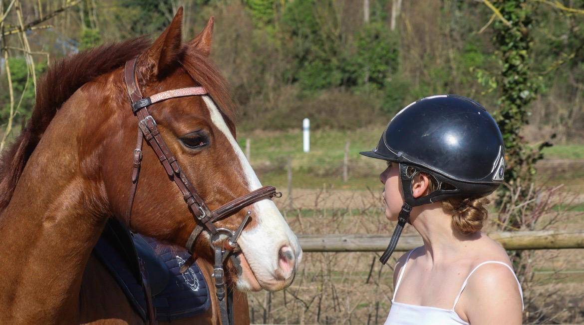 Ruin Paint Horse Te koop 2017 Vos ,  Urban Dazzle Star