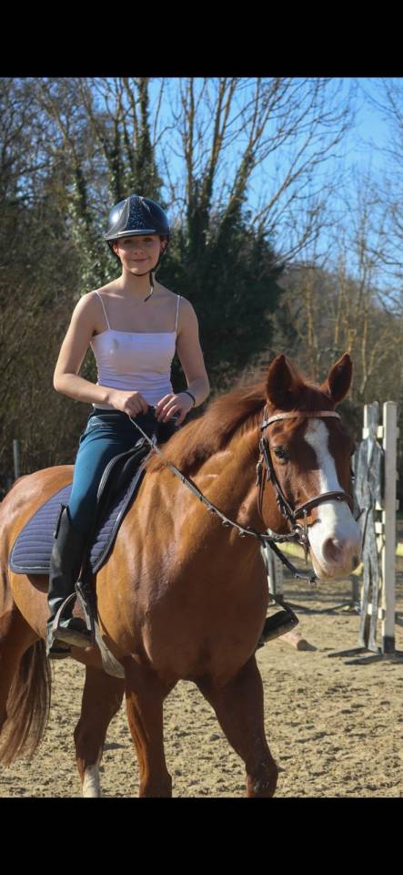 Ruin Paint Horse Te koop 2017 Vos ,  Urban Dazzle Star