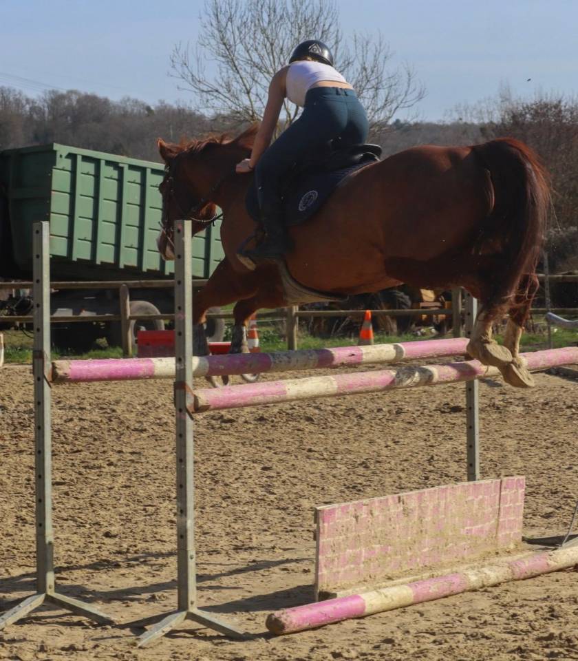 Ruin Paint Horse Te koop 2017 Vos ,  Urban Dazzle Star