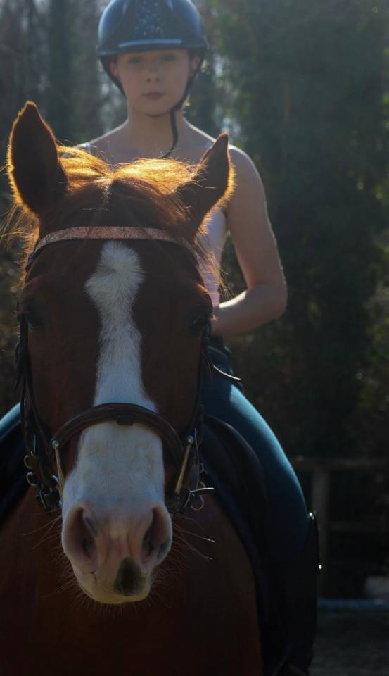 Ruin Paint Horse Te koop 2017 Vos ,  Urban Dazzle Star