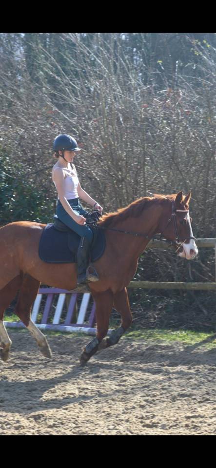 Ruin Paint Horse Te koop 2017 Vos ,  Urban Dazzle Star
