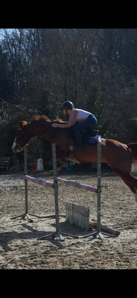 Ruin Paint Horse Te koop 2017 Vos ,  Urban Dazzle Star