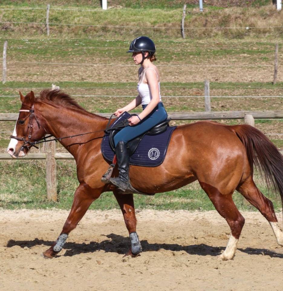 Ruin Paint Horse Te koop 2017 Vos ,  Urban Dazzle Star