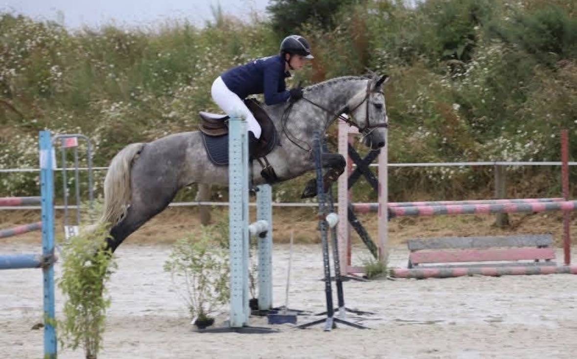 Ruin Connemara Te koop 2019 Schimmel