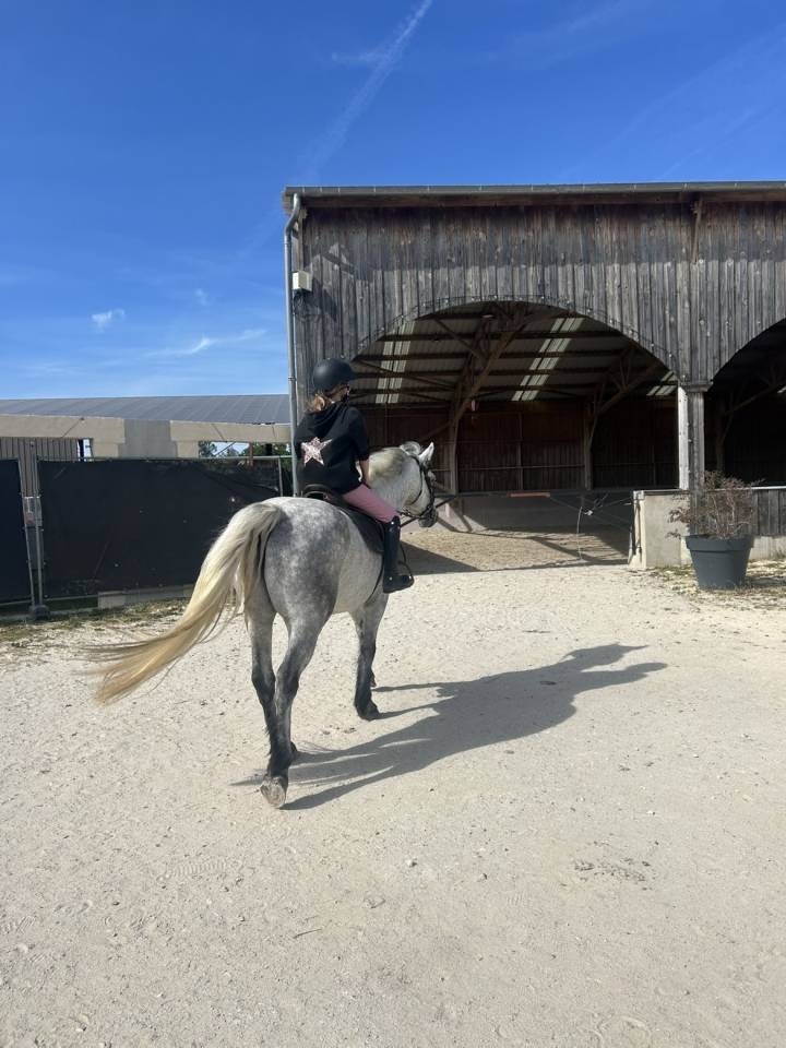 Ruin Connemara Te koop 2019 Schimmel
