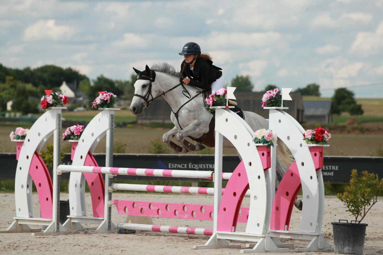 Merrie Franse rijpony PFS Te koop 2020 Schimmel