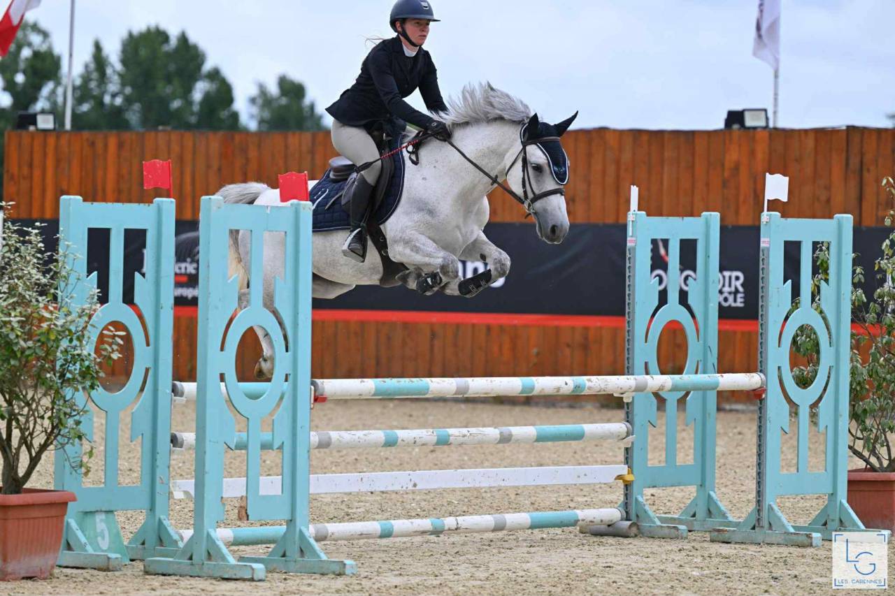 Merrie Franse rijpony PFS Te koop 2020 Schimmel