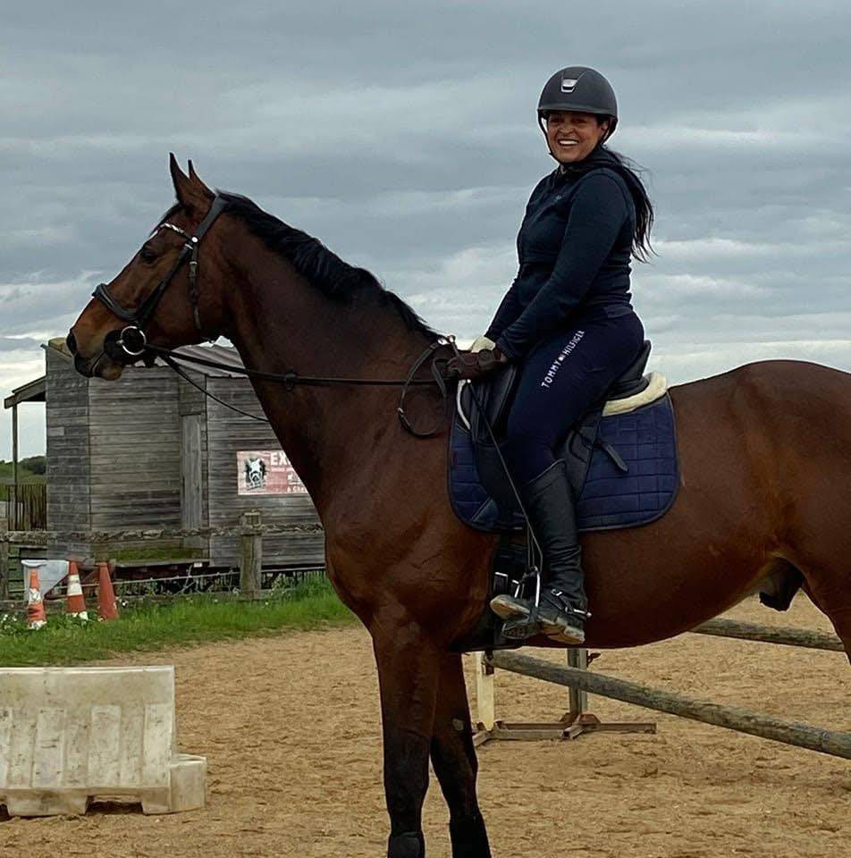 Ruin Zangersheide Te koop 2005 Donker bruin / bai ,  Diarado Holst Warmblut