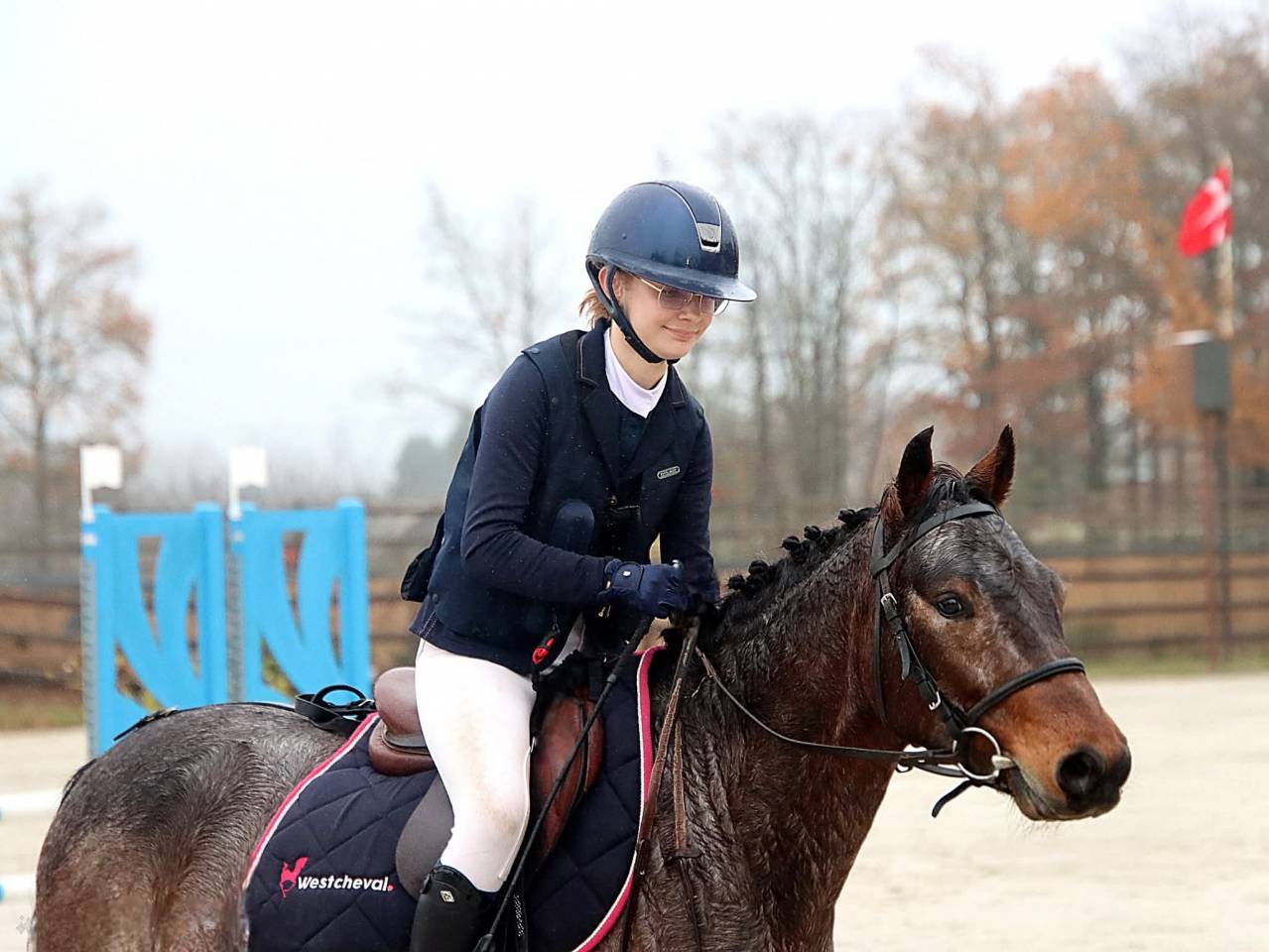 Ruin Franse rijpony PFS Te leen 2020 Bruinroan ,  WELCOME SYMPATICO