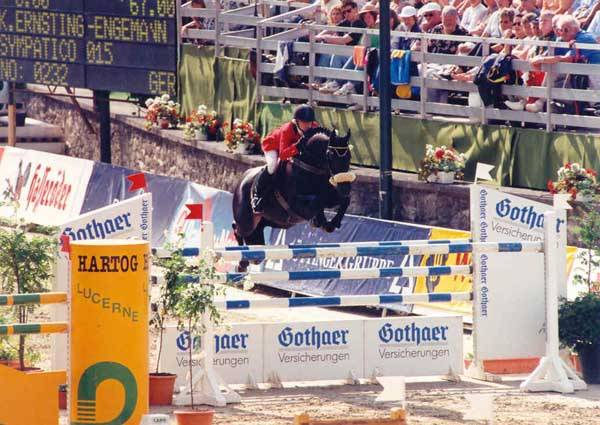 Ruin Franse rijpony PFS Te leen 2020 Bruinroan ,  WELCOME SYMPATICO