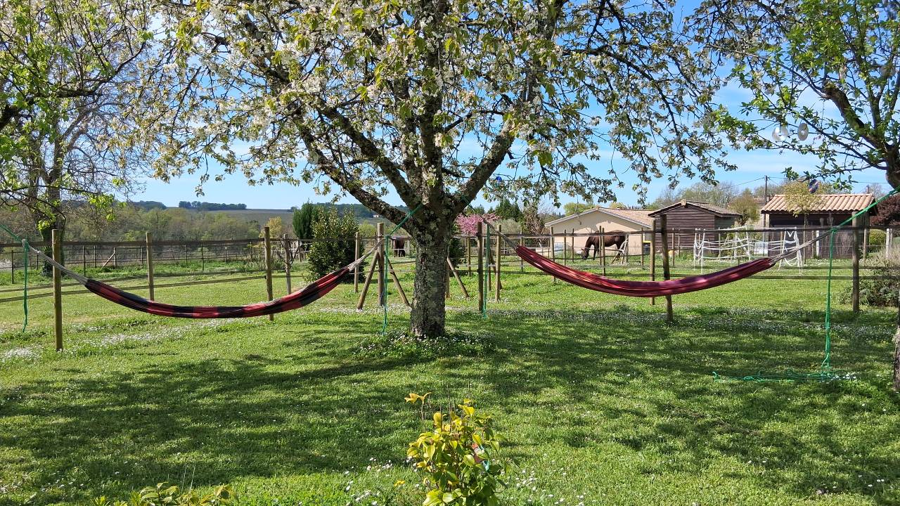 Mooi hippisch vastgoed Koop Gironde