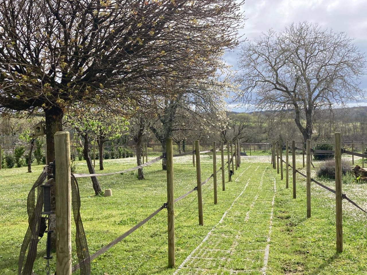 Mooi hippisch vastgoed Koop Gironde
