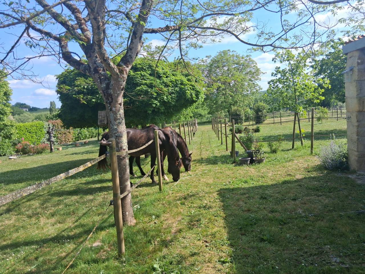 Mooi hippisch vastgoed Koop Gironde