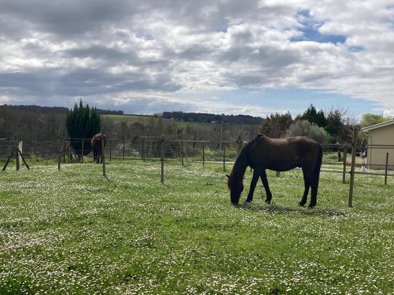 Mooi hippisch vastgoed Koop Gironde