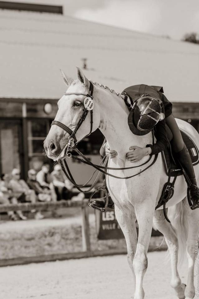 Ruin Lusitano Te koop 2012 Schimmel