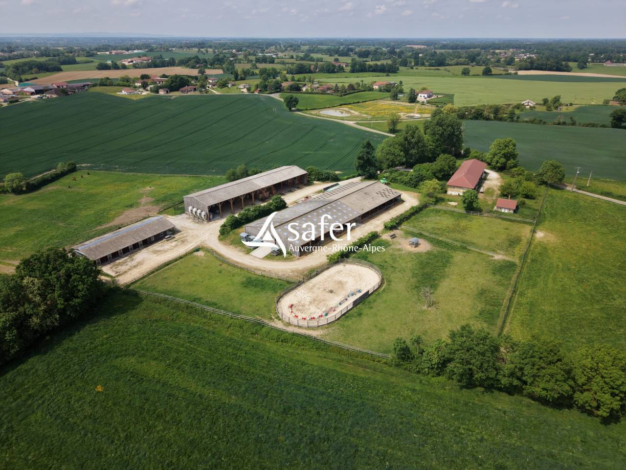 Schapen exploitatie Koop Ain